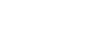 Loki99 Architecture
